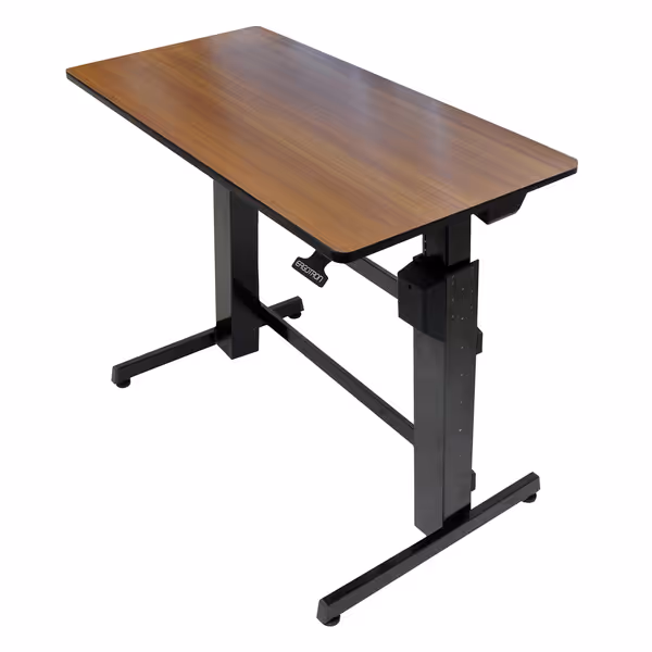 Ergotron WorkFit-D Standing Desk